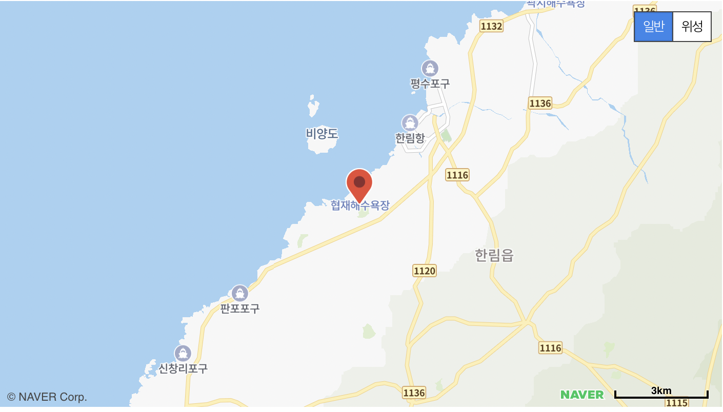 제주 수국 축제