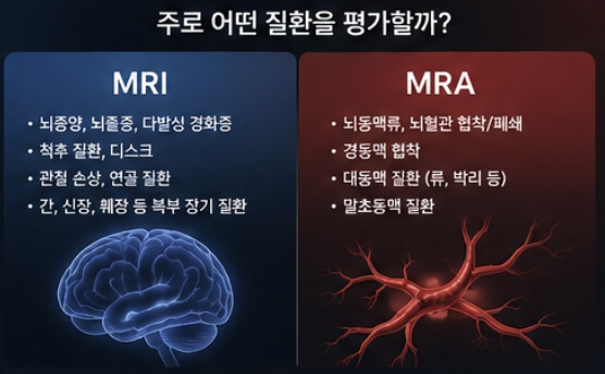 MRI와 MRA의 차이점
