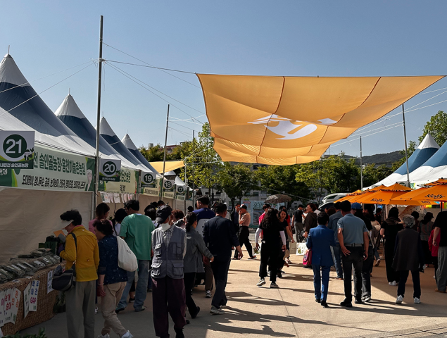 강원n 홍천 산나물축제