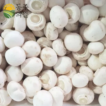 양송이버섯 제철 손질법과 볶음 요리 보관까지 전부 알려드립니다_8