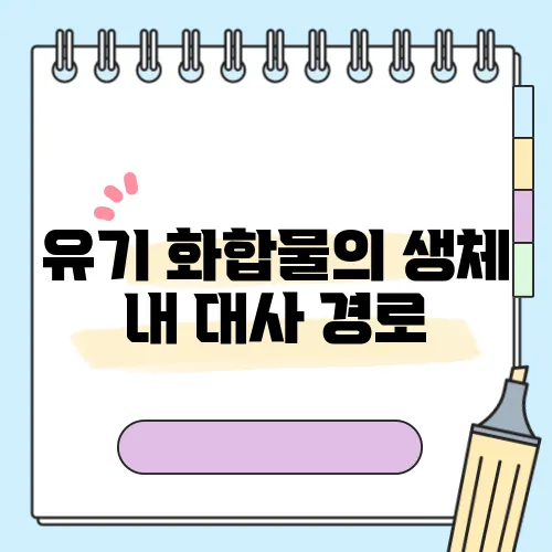 유기 화합물의 생체 내 대사 경로
