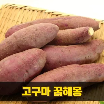 고구마 삶는법 맛있게 황금레시피 효능 칼로리_10