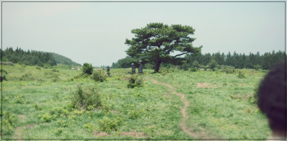 넷플릭스 드라마 폭싹 속았수다 촬영지