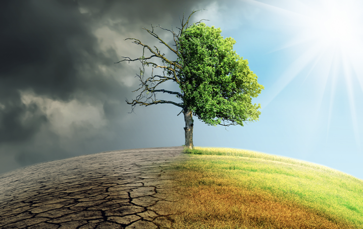 기후변화와 생태학적 영향