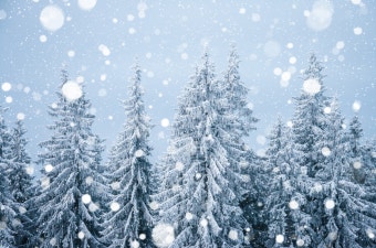 대성 보일러 온도조절기