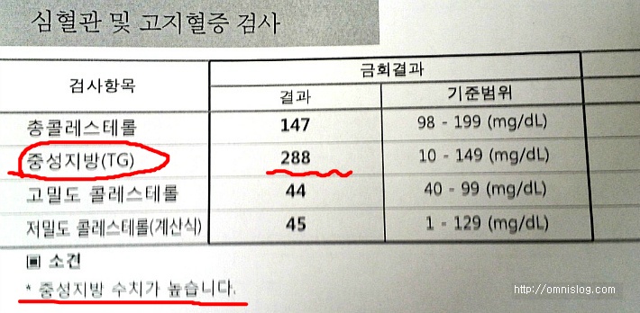 중성지방