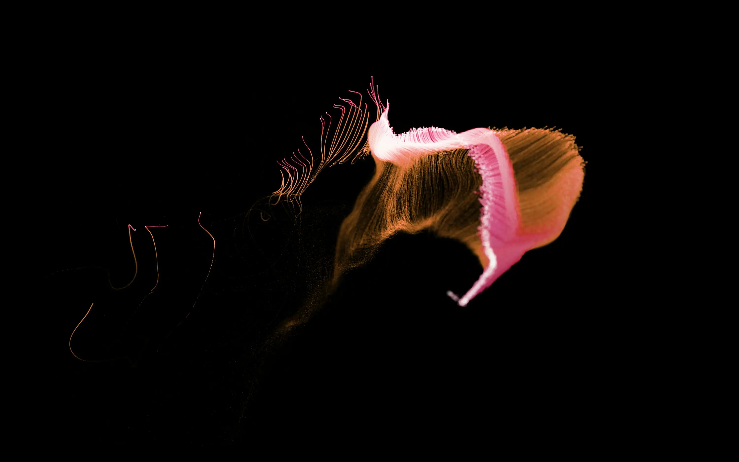 메타버스 관련주 수혜주