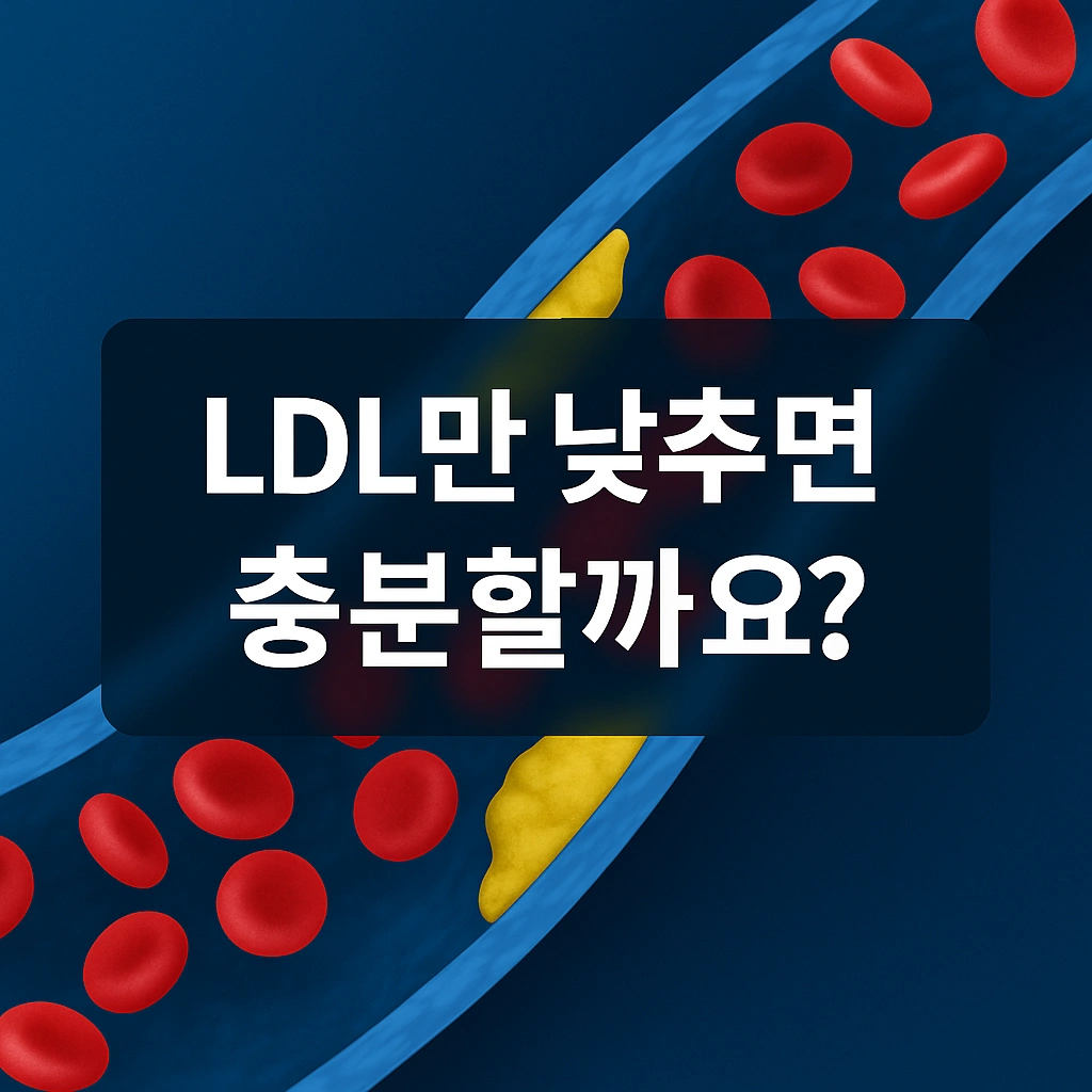 이상지질혈증 약물 치료 대표 이미지, 스타틴과 에제티미브 복용 가이드