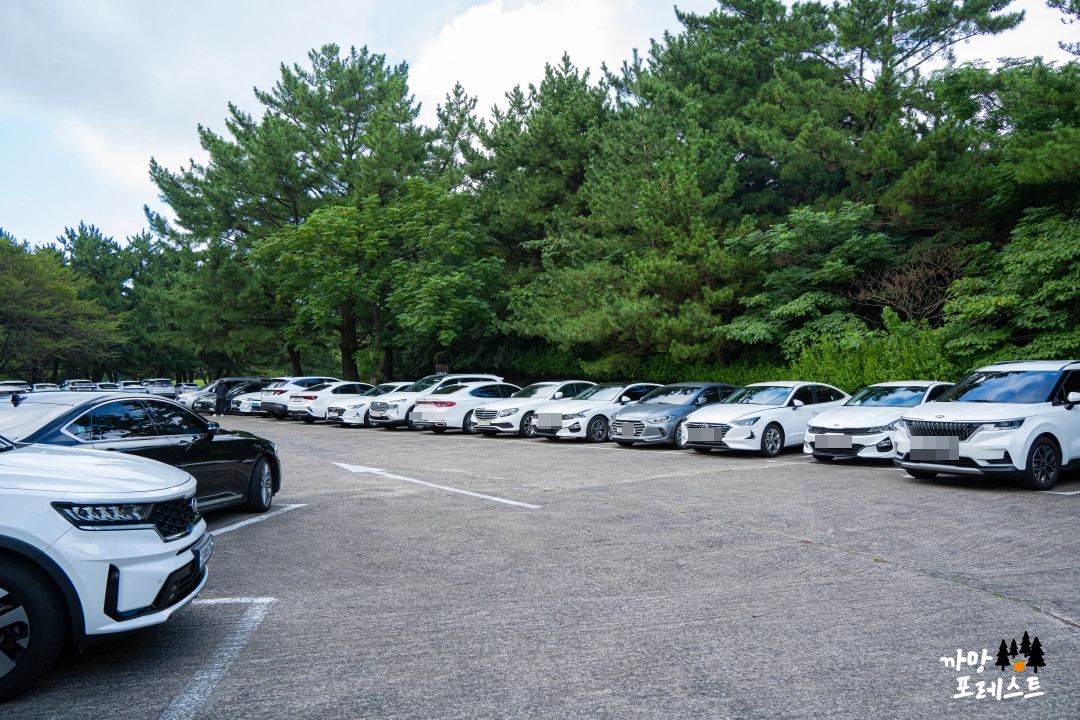 제주 만장굴 주차장