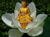 천지팔양신주경-사진1