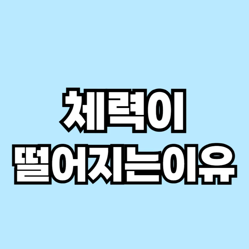 체력이 떨어지는 이유