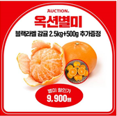 캐시워크 돈버는퀴즈 정답 썸네일