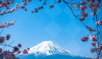 예쁜 일본 여자 이름 베스트 20 발음한자의미 최근 3년 기준으로 정리_17