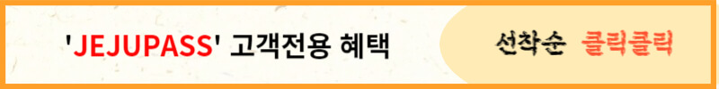 제주도 렌터카 최저가