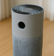 전정신경염 증상