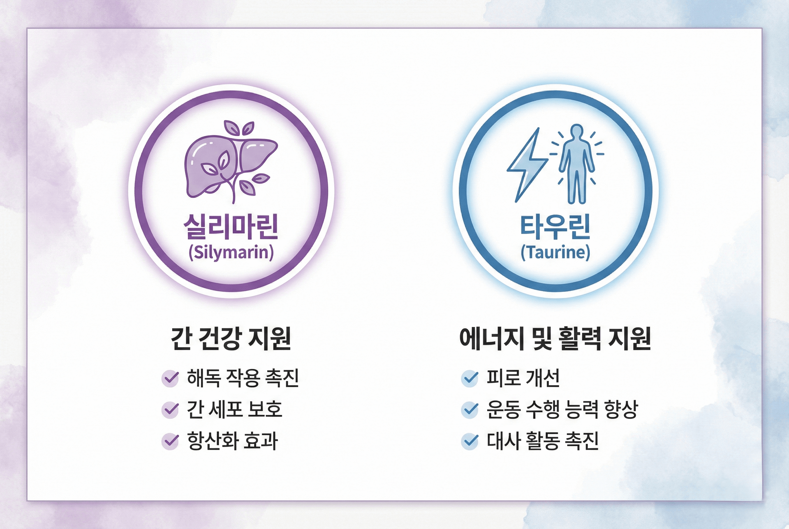 보라색 실리마린 아이콘과 파란색 타우린 아이콘이 마주 보며, 실리마린은 간 건강 관리, 타우린은 에너지&middot;컨디션 관리에 도움을 줄 수 있는 포인트를 각각 정리한 간단한 비교 인포그래픽 이미지