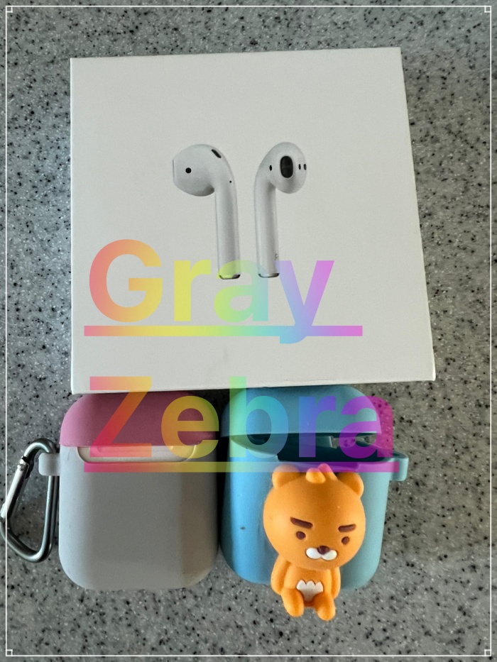 다이소 아이팟 케이스 천원