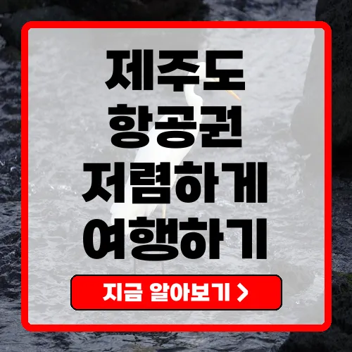 제주도 항공권 특가 알아보고, 저렴하게 여행하세요!