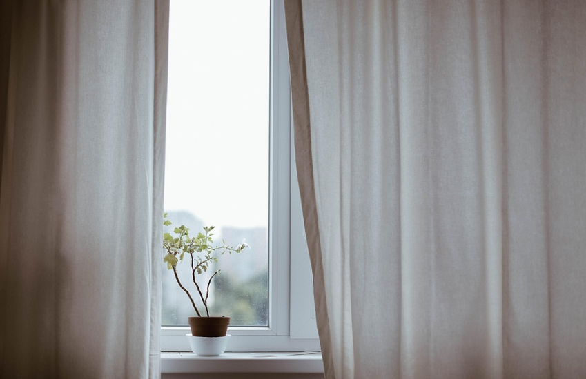 화분 고르는 기준