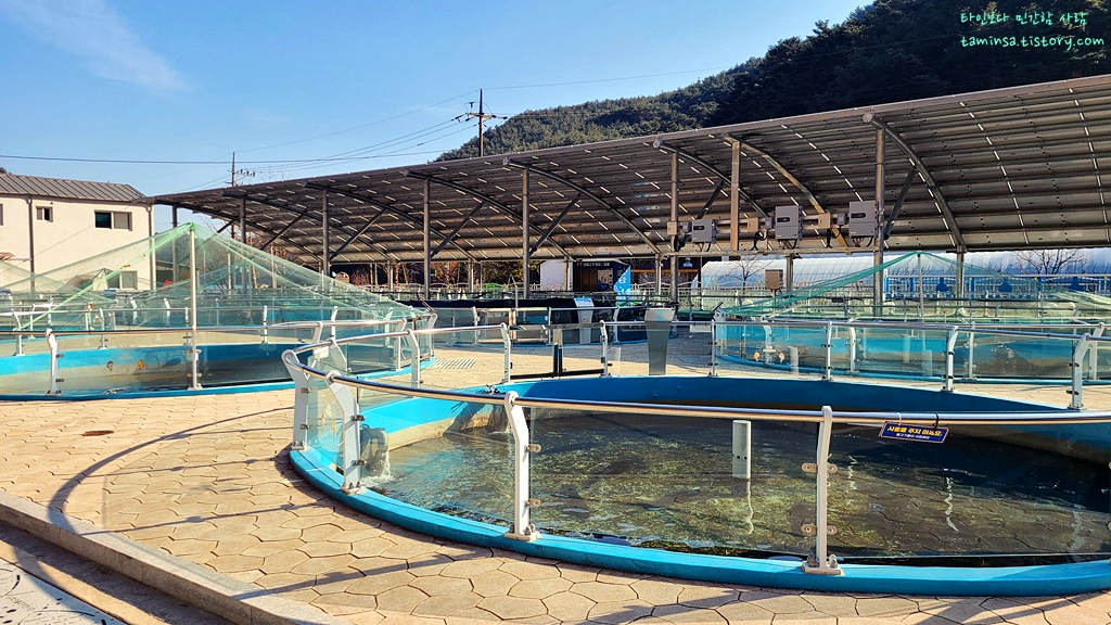 삼척-민물고기전시관-실외전시