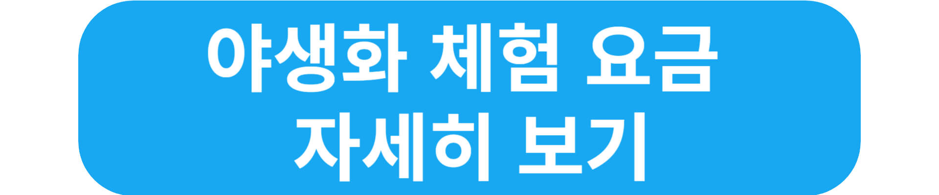 설연휴 가볼만한곳