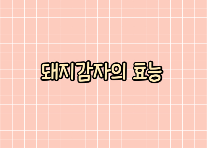 돼지감자의 효능 글자 대표이미지
