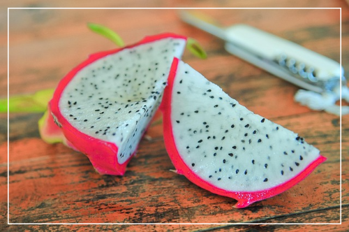 용과의 효능과 효과 구입처