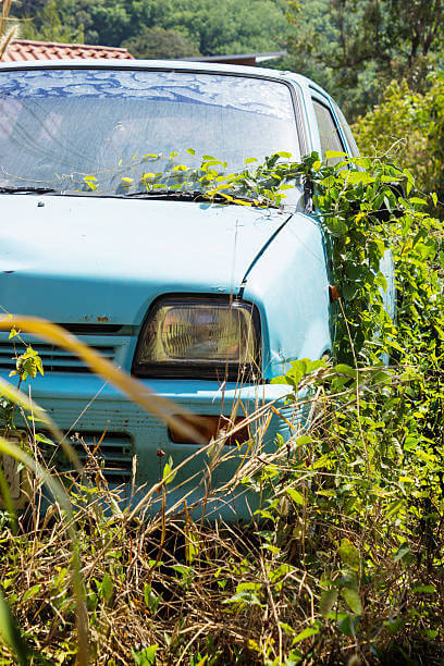 2025년 경유차 조기폐차 지원사업 총정리