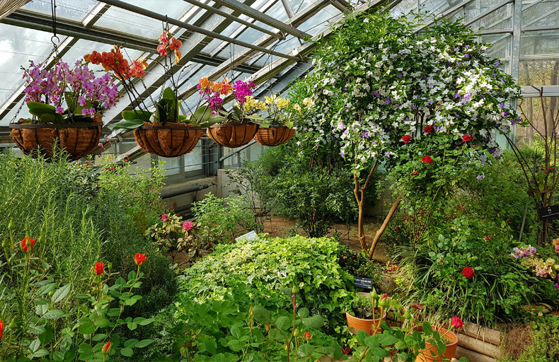 용인 가볼만한 곳 한택식물원 입장료