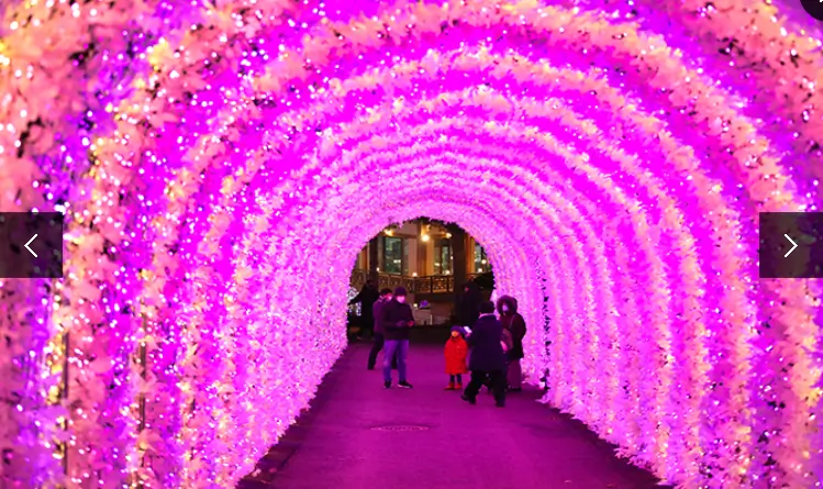 겨울 축제 가볼만한 곳 아침고요 수목원 오색별빛정원전