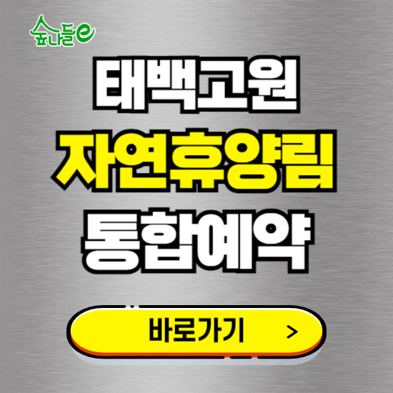 태백고원 자연휴양림 온라인 예약하기 ❘ 숙소 야영장 캠핑장 실시간 예약 현황 보기 ❘ 강원 태백시