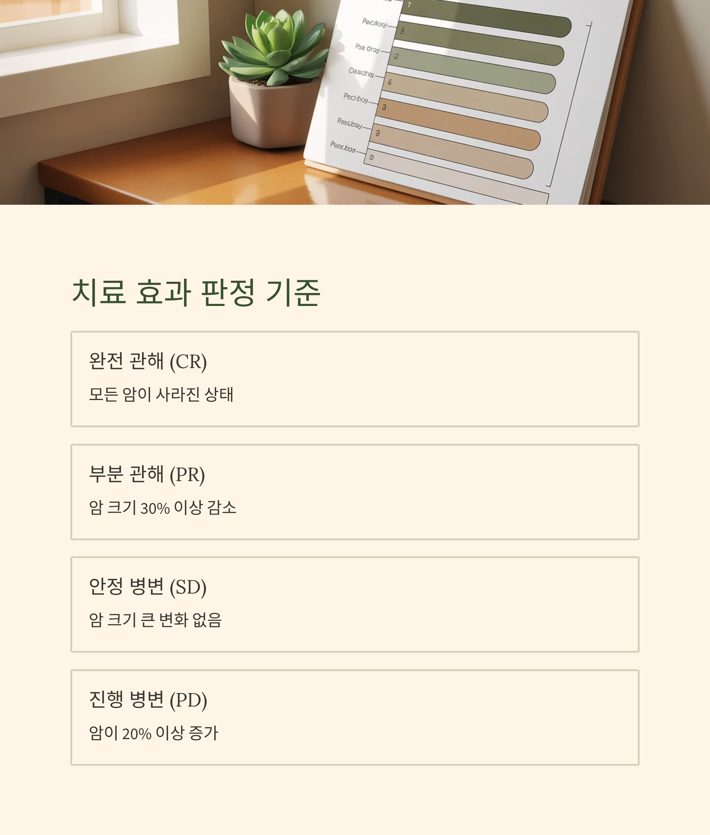 항암치료 효과 판정 기준