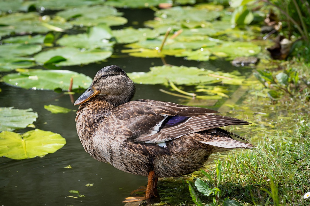 부동산 중개수수료