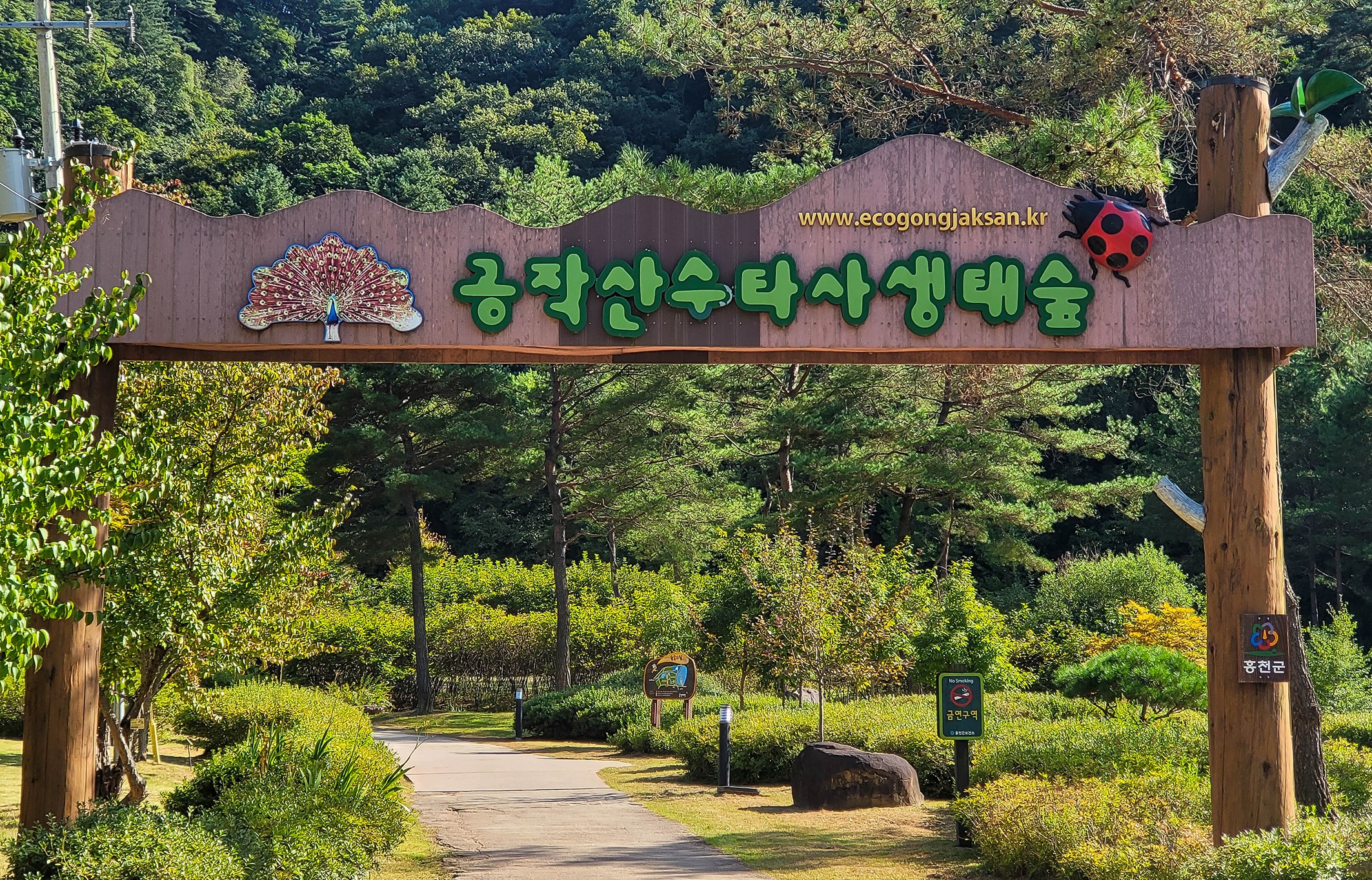 홍천 공작산 수목원(생태숲) 완벽 가이드: 수타사와 함께하는 힐링 산책 여행