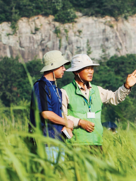 순천만습지 갈대밭