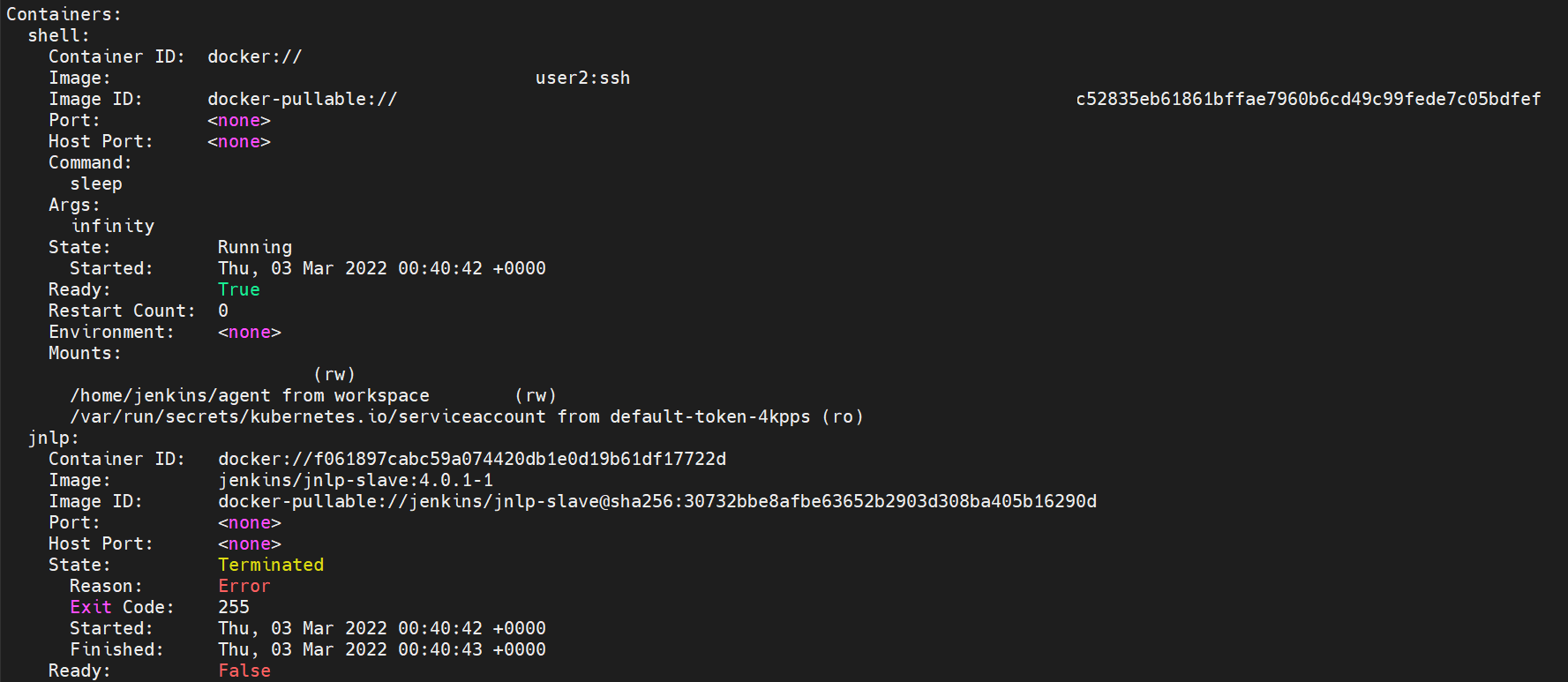 jnlp 컨테이너 이상 확인
