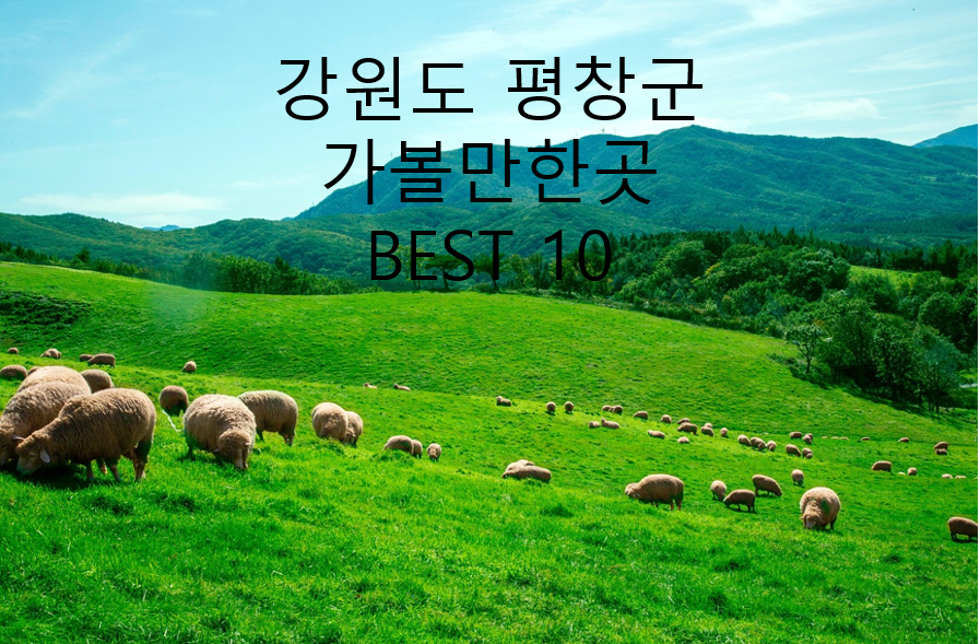 강원도 평창군 대관령 목장 사진