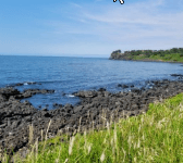 제주도 비행기표 싸게 사는법