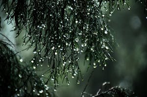 장마철 곰팡이 제거 확실한 방법4