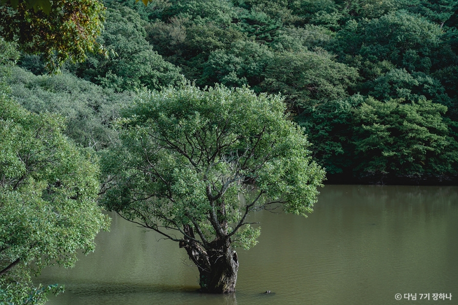 청송 가볼만한곳 베스트10