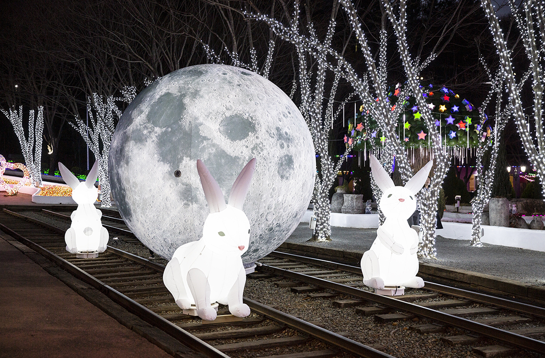청도 프로방스 빛축제