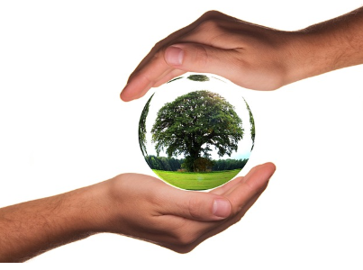 정책과 글로벌 협력을 통한 에너지 전환 전략