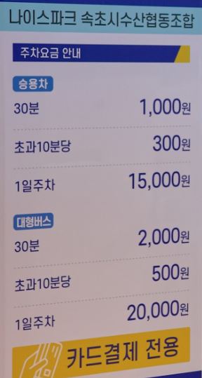 강원도 일출 명소 추천 낙산사 영금정 하조대