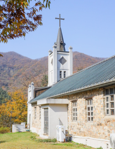 경기도 가을꽃 추천여행지 BEST 4