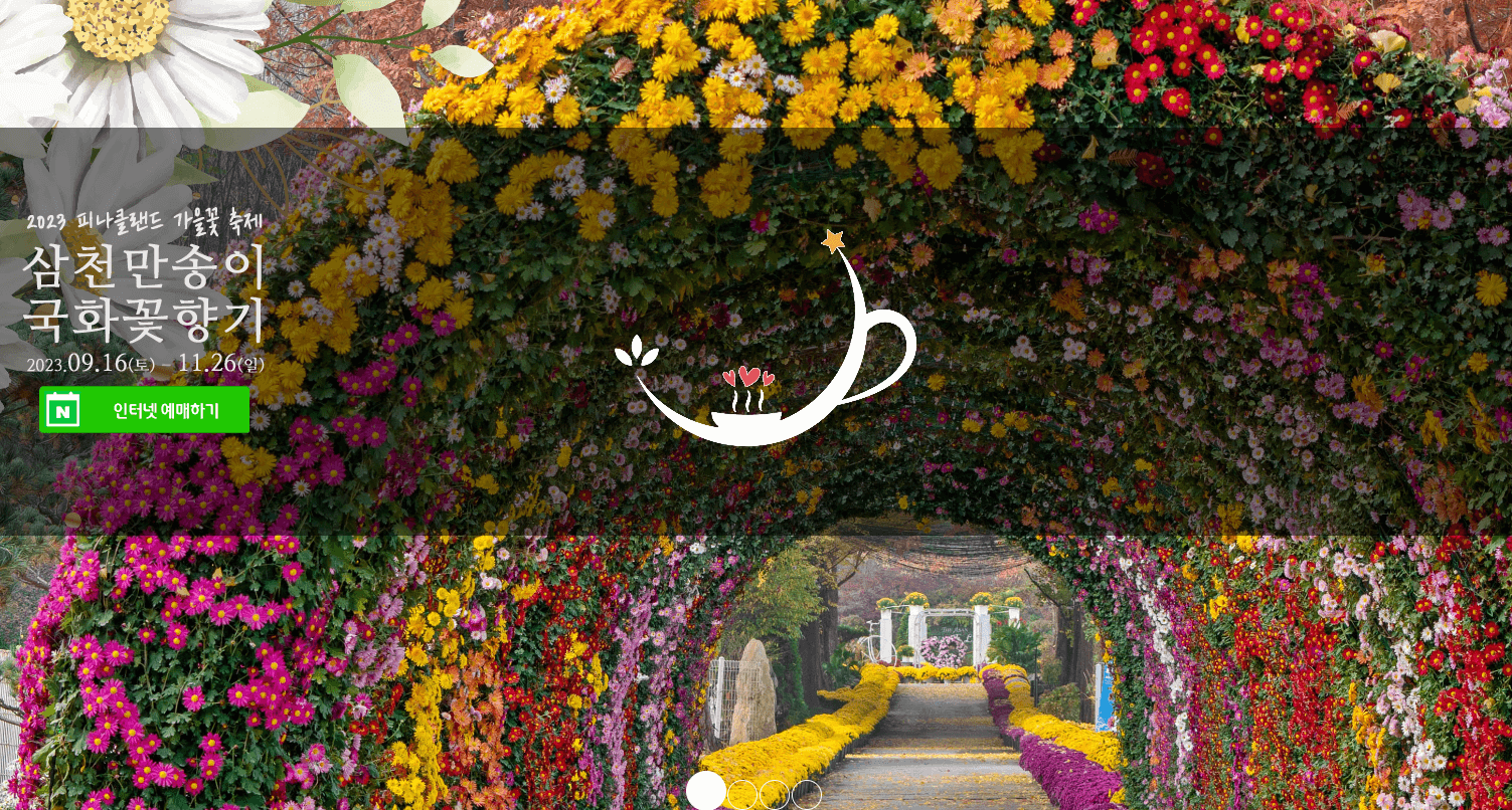 피나클랜드 삼천만송이 국화축제