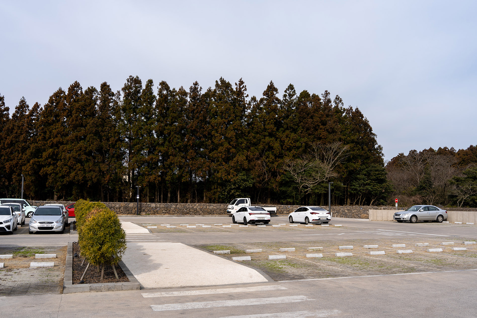 블루보틀 제주 카페 주차장