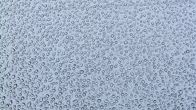 유리 비와 다이아몬드 눈