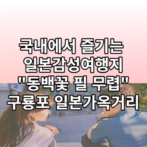 국내에서 즐기는 일본여행 동백꽃 필 무렵 촬영지, 구룡포 일본인 가옥거리
