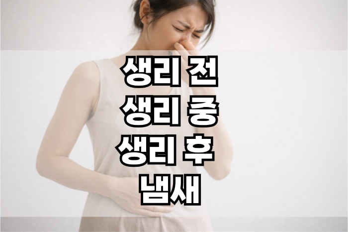 생리 전 생리 중 생리 후 냄새