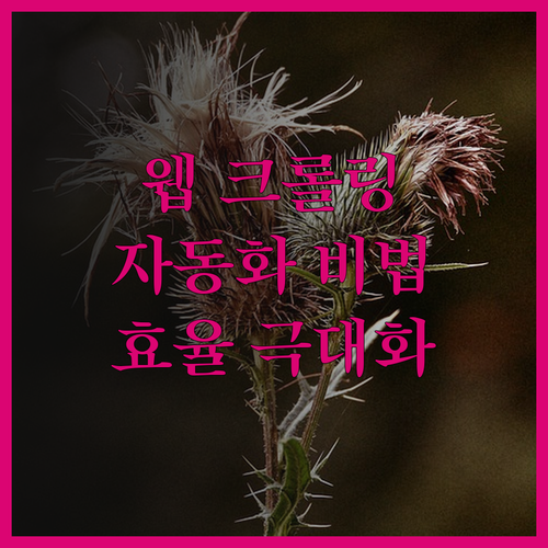 웹 크롤링 자동화 프로그램 제작 성공